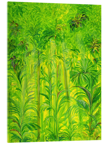 Acrylglas print Rain Forest, Malaysia