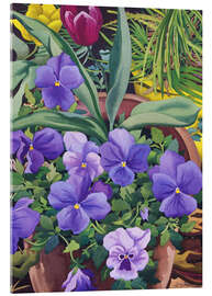 Akrylglastavla Flower pots with pansies, 2007