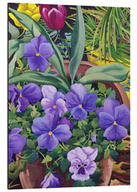 Print på aluminium Flower pots with pansies, 2007