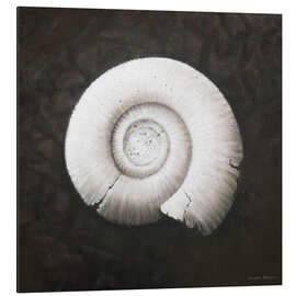 Magnettafel Amononite 2012