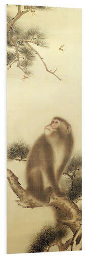 Foam board print Monkey watching a dragonfly