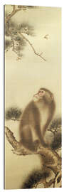 Cuadro de plexi-alu Monkey watching a dragonfly