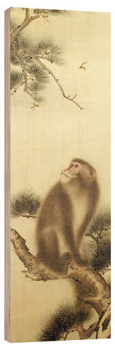 Print på træ Monkey watching a dragonfly