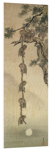 Foam board print Monkeys reaching for the Moon