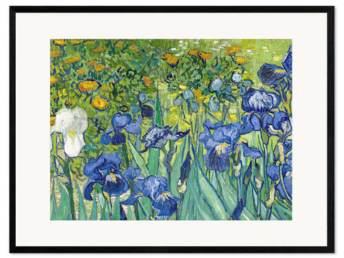 Innrammet kunsttrykk Irises