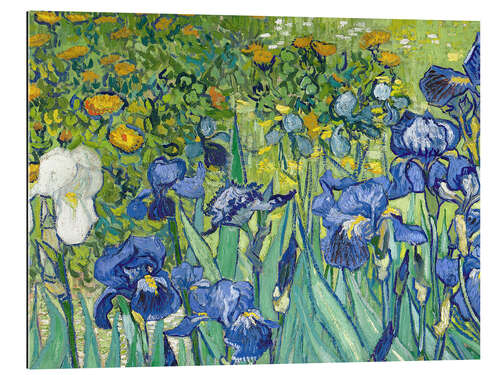 Tableau en plexi-alu Iris