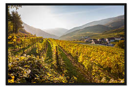 Gerahmter Kunstdruck Weinberge, Wachau