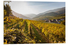 Foam board print Vineyards, Wachau