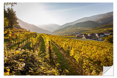 Sticker mural Vignobles dans la Wachau en Basse-Autriche