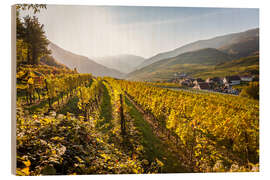 Holzbild Weinberge, Wachau