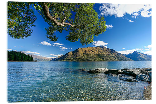 Acrylic print Queenstown New Zealand