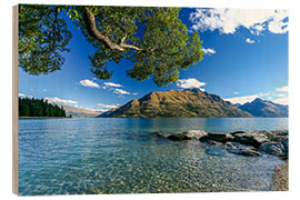 Obraz na drewnie Queenstown New Zealand