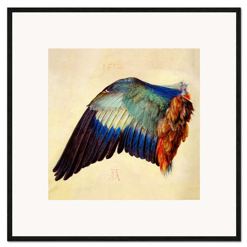Framed art print Wing of a Blue Roller