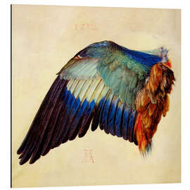 Magnettafel Flügel einer Blauracke