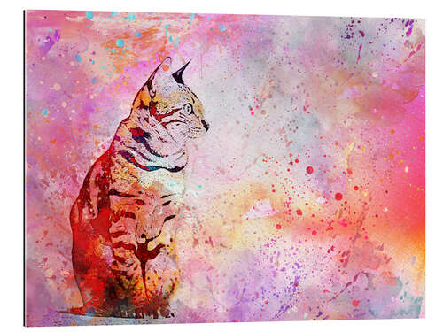 Gallery print Cat