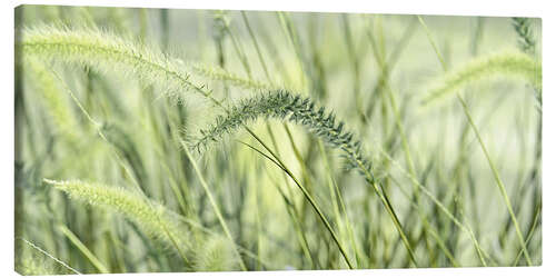 Lærredsbillede Grasses Green Panorama