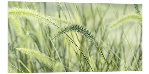 PVC print Grasses Green Panorama