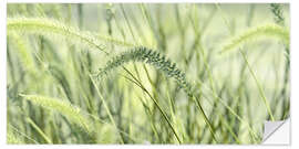 Autocolante decorativo Grasses Green Panorama