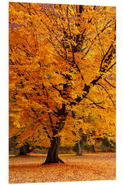 Hartschaumbild Herbstbaum im Park