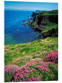 Akryylilasitaulu Dunluce Castle, Ireland