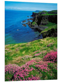 Foam board print Dunluce Castle, Ireland