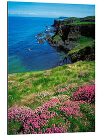 Magnettafel Dunluce Castle, Irland