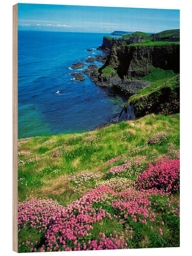 Wood print Dunluce Castle, Ireland