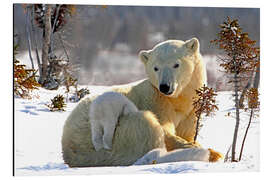 Magnettafel Mutter Eisbär