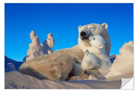 Sisustustarra Polar bears cuddling in snow