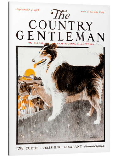 Tableau en aluminium Country Gentleman (Dog)