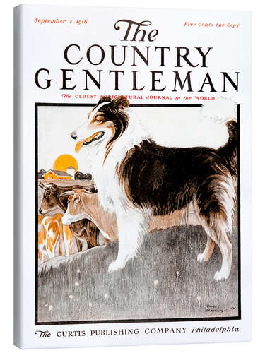 Canvas print Country Gentleman (Dog)