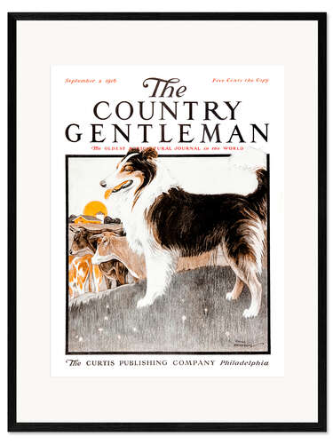 Kehystetty taidepainatus Country Gentleman (Dog)
