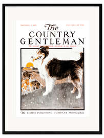 Kunsttryk i ramme Country Gentleman (Dog)