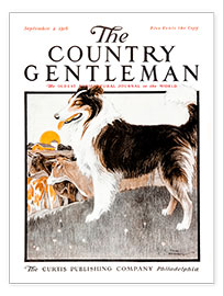 Poster Country Gentleman (Dog)