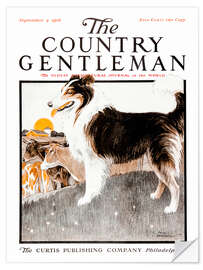 Selvklebende plakat Country Gentleman (Dog)