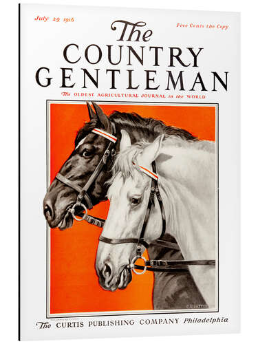 Aluminiumtavla Country Gentleman (horses)