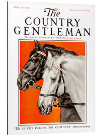 Tableau en aluminium Country Gentleman (horses)