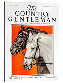 Gallery print Country Gentleman (horses)