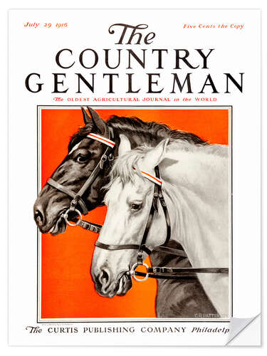 Selvklebende plakat Country Gentleman (horses)