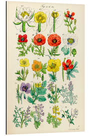 Magnettafel Wildblumen, Fig. 41-60