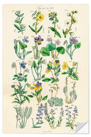 Wandsticker Wildblumen, Fig. 141-160