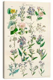 Canvas print Wildflowers, fig. 821-840