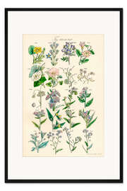 Gerahmter Kunstdruck Wildblumen, Fig. 821-840