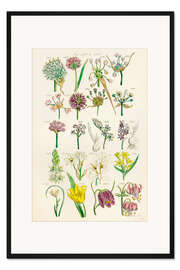 Gerahmter Kunstdruck Wildblumen, Fig. 1281-1300