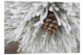 Foam board print Pinecone in frost