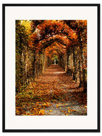 Gerahmter Kunstdruck Hainbuche in Irland