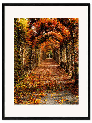 Ingelijste kunstdruk Hornbeam, Ireland