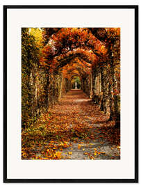 Ingelijste kunstdruk Hornbeam, Ireland