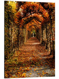 Magnettafel Hainbuche in Irland