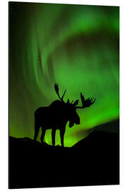Magnettafel Elch-Silhouette mit Aurora borealis